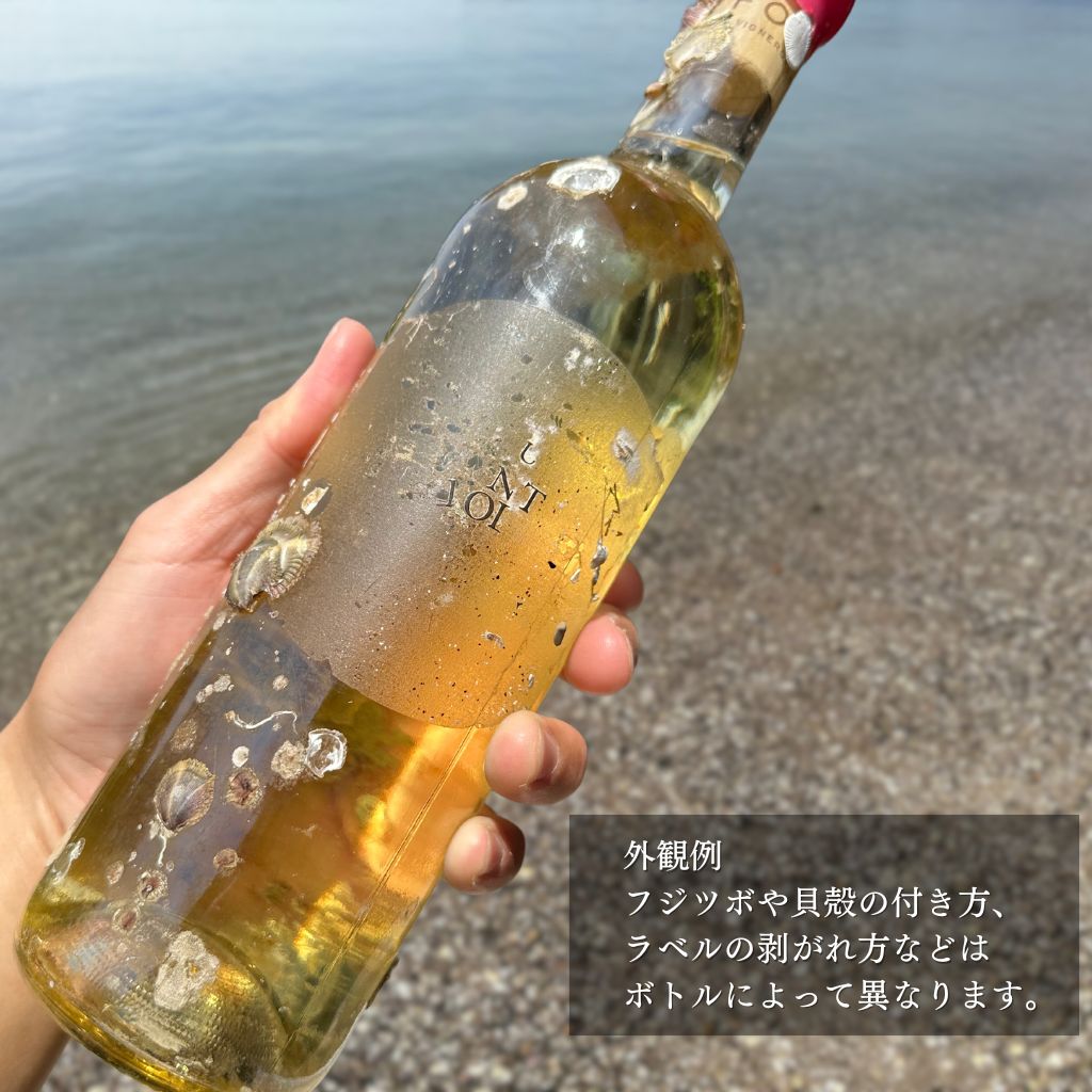 サルベージワイン・白